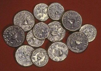 Um tesouro de shekels, Jerusalém de Herodes, c.66-70 dC (prata)