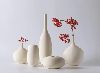 Vasos de cerâmica com bagas vermelhas