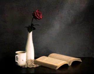 Livro «Rose Coffee»: Natureza morta