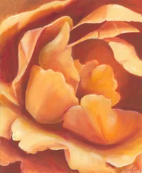 Flor de laranjeira suave