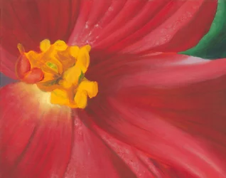 Flor vermelha vibrante
