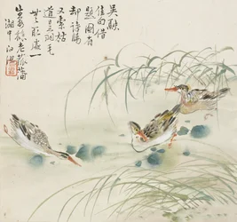 Três patos nadando em uma piscina, 1857