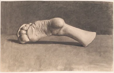 Desenho após gesso. Um pé