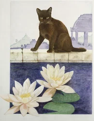 birmanês