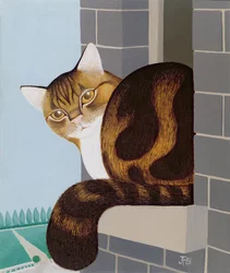 Gato em um peitoril da janela