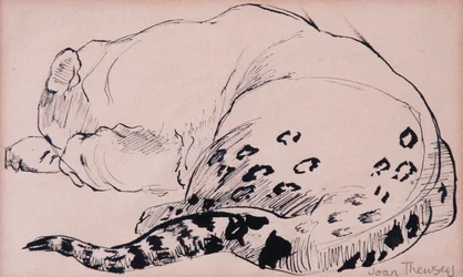 Esboço, leopardo, zoológico de Londres 2005, (caneta e tinta)