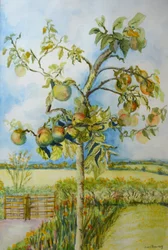 A árvore de maçã, 2001