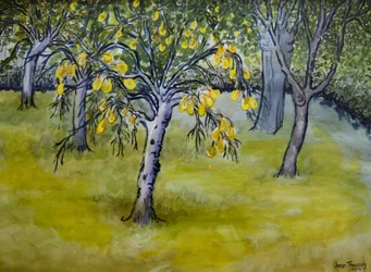 A pequena árvore de pêra, 2005