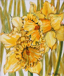 Two Daffodils, 2001, water coloured on hand made paper