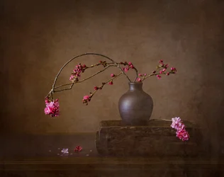 Natureza morta com flores de cerejeira