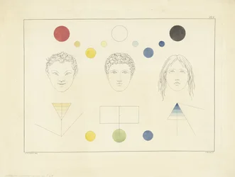 Três tipos de rosto com cores correspondentes