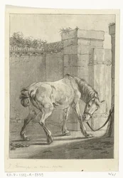 Um cavalo amarrado a um poste