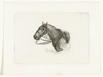 Cabeça de cavalo para a esquerda
Cabeças de cavalo para Dirk Langendijk (título da série)