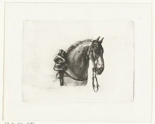Cabeça de cavalo à direita Cabeças de cavalo após Dirk Langendijk (título da série)