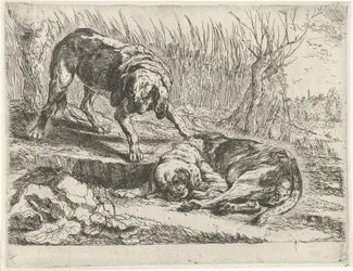 Dois cachorros Cães (título da série)