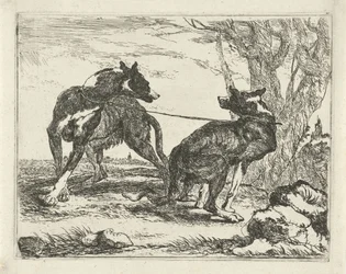 Dois cachorros Cães (título da série)