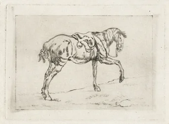 Cavalo selado