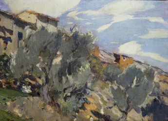 Aldeia, laranjais