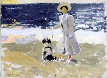 Senhora e cão na praia