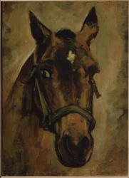CABEZA DE CABALLO. Artista: JOAQUIN SOROLLA. Local: COLEÇÃO PRIVADA, MADRID, ESPANHA