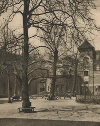 Sob os olmos no pátio do Middlesex Hospital, c1935.