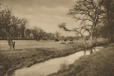 Onde Beverley Brook serpenteia através do parque de caça real de Richmond, c1935.