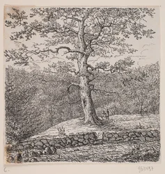 Carvalho de Niels Ebbesen em Nørreris