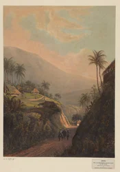 Vista de uma estrada para o vale do Salak em Java
Estrada de Buitenzorg para o vale do Salak (residência Buitenzorg) (título sobre o objecto)