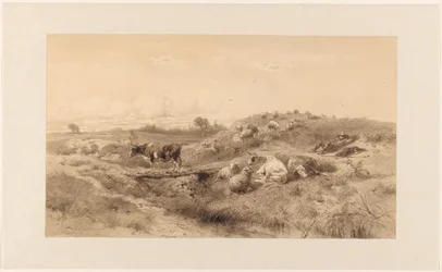 Paisagem com gado e pastoreio em repouso