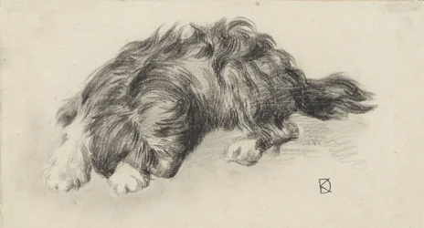 Cão adormecido
