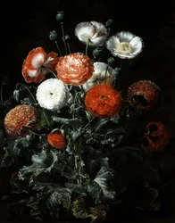 Papoilas exóticas. Pintura de Johan Laurentz Jensen (1800-1856) Coleção particular.