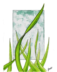 Crescimento Verde Fresco