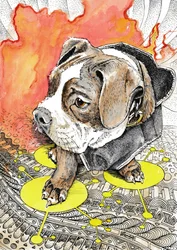 A Viagem Ardente do Cachorrinho
