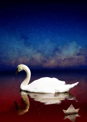 Bird Kingdom 4, 2018 (arte fotográfica digital)