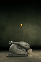 Hide my self, 2013 (manipulação de fotos)