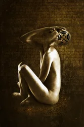 Grito, 2013 (manipulação de fotos)