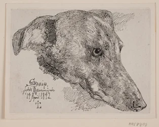 Dinamarquês: Hundehoved, Snip