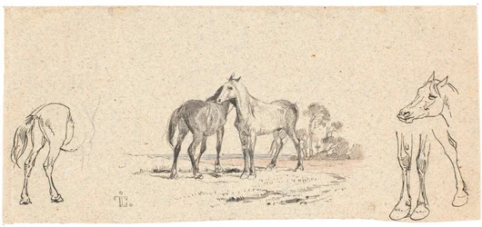 Os dois cavalos; e estudo de cavalos
