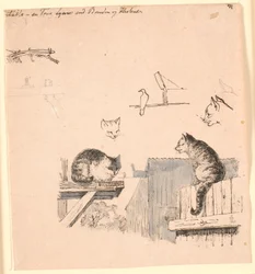 Os dois gatos. F.o. estudos de cabeças de gato, um pássaro, uma orelha de gato e trabalho com vigas. Ilustração para "Fábulas para Crianças" de Kaalund. Veja o comentário do catálogo de folhas.