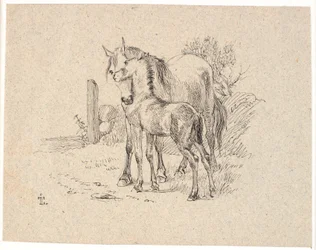 O cavalo e o potro