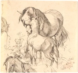 A égua e o potro, f.n. estudo do cavalo (costas e cabeça) e a orelha de um potro