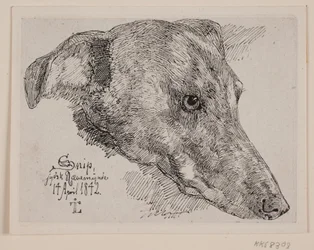 Hundehoved, Snip