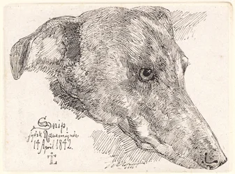 Hundehoved, Snip