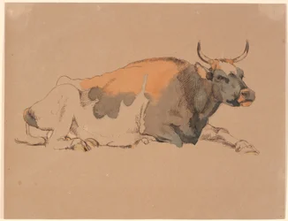 Vaca manchada de vermelho e preto deitada