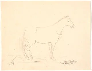 Cavalo em pé no perfil t.h.