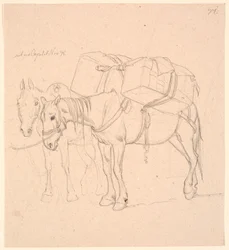 Dois cavalos com arnês