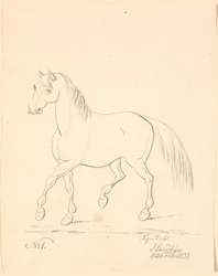 Cavalo trotando, virado para a esquerda