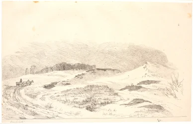 Paisagem de inverno com o carácter da Zelândia do Norte