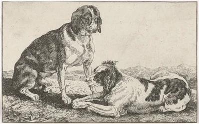 Dois cachorros