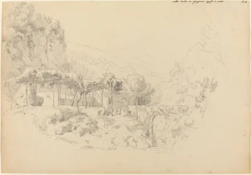 Um arbor sombrio no vale de Gragnano